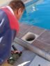 pool-adaptation-480x640-.jpg